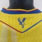 Crystal Palace 24-25 away player version