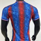 crystal palace 24-25 home player version