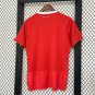 AL AHLY 25-26 home