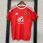 AL AHLY 25-26 home