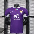 Al Ain 25-26 home Player Version