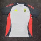 benfica 24-25 gray training jersey