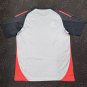 benfica 24-25 gray training jersey