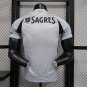 ben-fica 24-25 third gray player version s-xxl