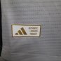 ben-fica 24-25 third gray player version s-xxl