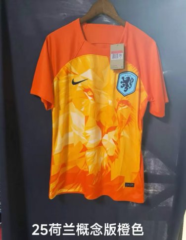 netherlands 24 orange training jersey