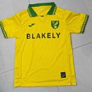Norwich 25-26 home s-xxl
