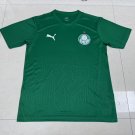 Palmeiras 25-26 green special version S-4XL
