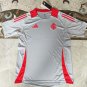 Sport Club Internacional 25 gray Training jersey