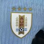 Uruguay 24-25 home player version S-4XL