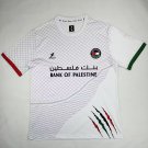 Palestine 24-25 white S-4XL