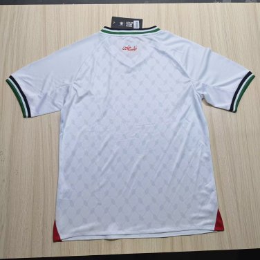 Palestine 24-25 white S-XXL