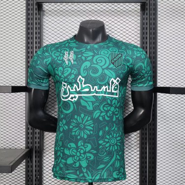 Palestine 25-26 green Player Version s-xxl
