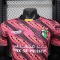 Palestine 25-26 red Player Version s-xxl