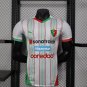 Palestine 25-26 white Player Version