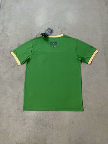 palmeiras green special version s-xxl