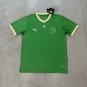 palmeiras green special version s-xxl