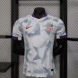 USA 25-26 home player version