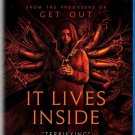 It Lives Inside (Blu-ray) 2023