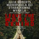 Leave the World Behind (Blu-ray) 2023 Free Shipping