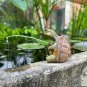 Simulation Resin Sea Turtle Ornaments, Aquarium Ornament, Flower Pots and Tank Aquarium Decoration