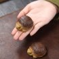 Tiny Sea Turtle Tea Pet Figurine. Miniature Zisha Ceramics Turtle Figure