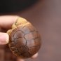 Tiny Sea Turtle Tea Pet Figurine. Miniature Zisha Ceramics Turtle Figure
