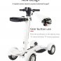 Four Wheel Golf Electric Folding Light Longboard Lawn Course Scooter