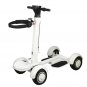 Four Wheel Golf Electric Folding Light Longboard Lawn Course Scooter
