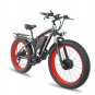 Front And Rear Dual Motor Electric Bicycle 21 Speed Oil Brake Lithium Battery