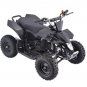 Children's Beach Two Stroke Petrol Off-road Motorcycle Infinite Speed Four Wheels
