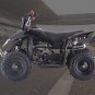 Children's Beach Two Stroke Petrol Off-road Motorcycle Infinite Speed Four Wheels