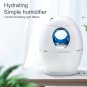 800ML Mini Air Humidifier