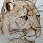 Mountain Lion - Cougar - Puma - Hand Burned Drawing - Pyrography on Textured Watercolor Paper