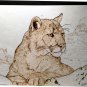 Mountain Lion - Cougar - Puma - Hand Burned Drawing - Pyrography on Textured Watercolor Paper
