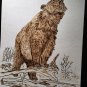Grizzly Bear - Hand Burned Drawing - Pyrography on Textured Watercolor Paper