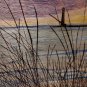 Art by Da - Sunset Thru The Beach Grass - Pyrography with Colored Pencil on Wood