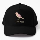 Birds Aren't Real I A Lie Baseball Cap Casquette Snapback Cap Rave Hats