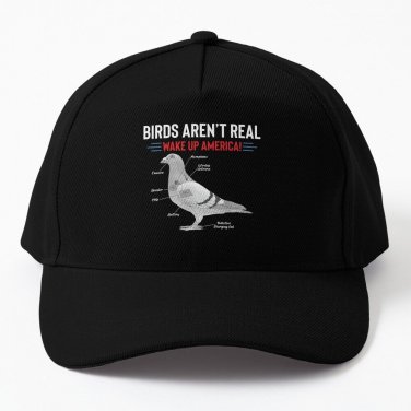 Birds Aren&acirc;��t Real Wake America Baseball Cap Casquette Hats Golf Cap Sun Hat Golf Hat