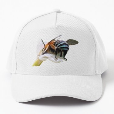 Head Down Bee-Hind Up! Baseball Cap Casquette Hood Cap