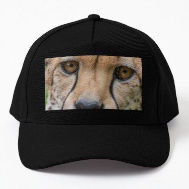 Cheetah at the National Zoo Baseball Cap Unisex Hat Casquette Snapback