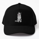 Cute Blue Merle Border Collie Dog Baseball Cap Hat Casquette Snapback Mens