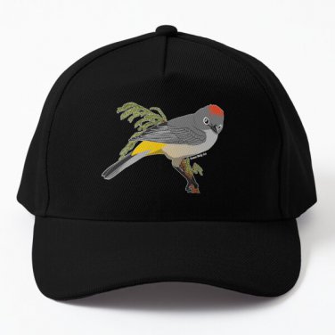 Colima Warbler Baseball Cap Hat Casquette Snapback Mens Black