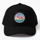 Christopher Cross Debut Baseball Cap Hat Women Casquette Hip Hop