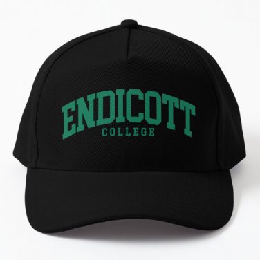 Endicott College Font Curved Baseball Cap Hat Snapback Czapka Casquette Hip Hop Black