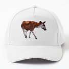 Okapi Baseball Cap Casquette Horse Hat Derby Hats