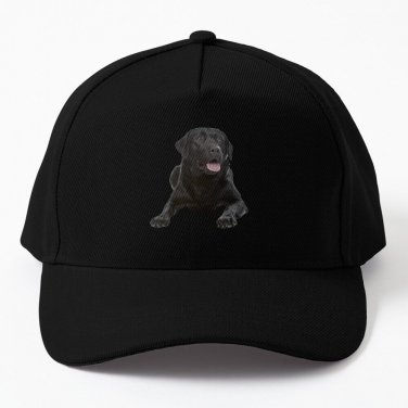 Labrador Labradors Lab Baseball Cap Casquette Hat Black Tactical Cap Streetwear Caps
