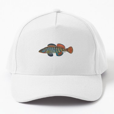 Rainbow Darter Etheostoma Caeruleum Baseball Cap Casquette Sun Hat Anime Cap
