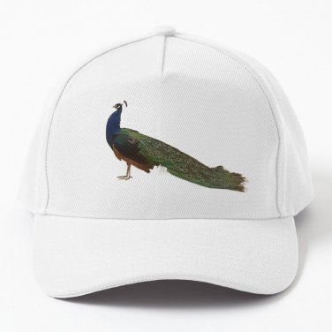 Peacock Baseball Cap Casquette Bobble Hat Fluffy Hat Golf Cap Cap