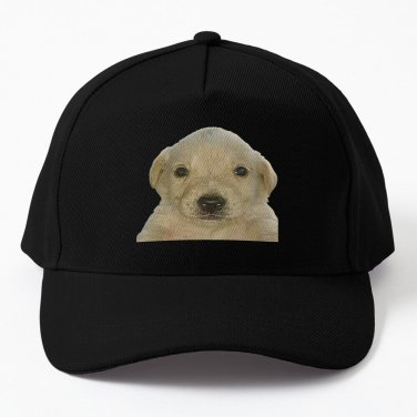 Jotchua meme jotchua dog Baseball Cap Unisex Hat Casquette Snapback